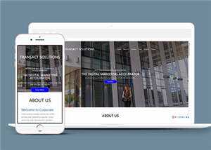 项目产品解决方案HTML网页模板下载 - 小辰精品|源码站™