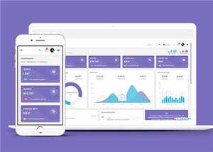 手机app运营数据统计后台模板下载 - 小辰精品|源码站™