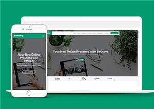 创意投资项目代理响应式网页模板下载 - 小辰精品|源码站™