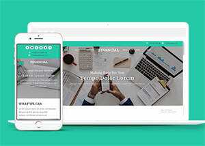 蓝色美元外汇金融网站模板源码 - 小辰精品|源码站™