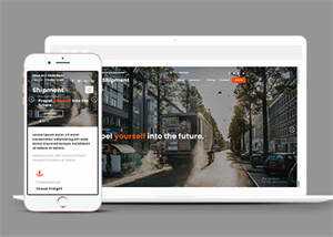 淘宝海外集运公司网站模板下载 - 小辰精品|源码站™