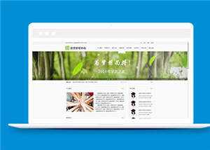 简约基础教育研究中心源码模板下载 - 小辰精品|源码站™