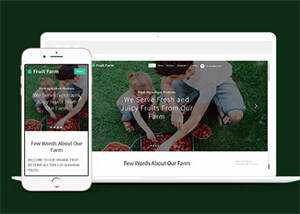 新鲜农产品类公司网站模板下载 - 小辰精品|源码站™