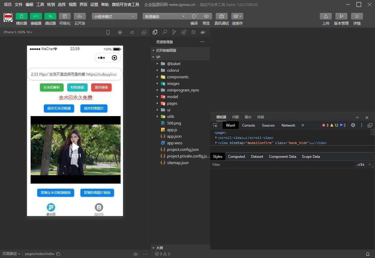 短视频去水印和图片加水印生成微信小程序源码 - 小辰精品|源码站™