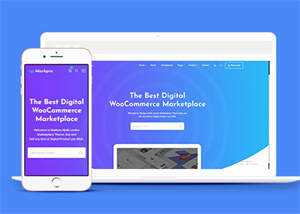 数字市场资源下载平台网站模板 - 小辰精品|源码站™