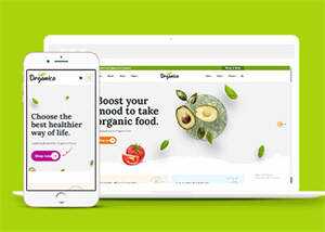 蔬菜水果商店网站响应式模板下载 - 小辰精品|源码站™