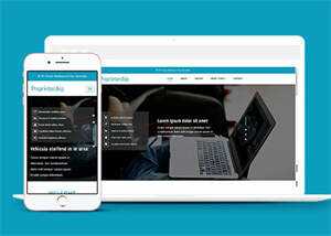 淘宝详情页制作响应式网站模板 - 小辰精品|源码站™