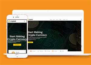 比特币加密货币类网站模板下载 - 小辰精品|源码站™