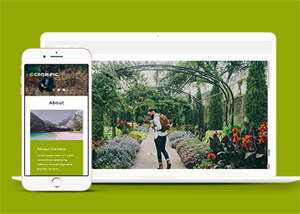 宽屏风景图片拍摄网站模板下载 - 小辰精品|源码站™