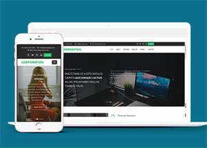 响应式财务管理公司网站模板 - 小辰精品|源码站™