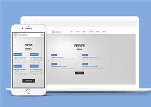 简约金融行业企业前端HTML网页下载 - 小辰精品|源码站™