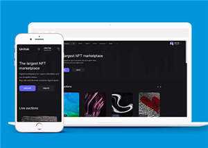 宽屏数字市场交易平台网站模板下载 - 小辰精品|源码站™