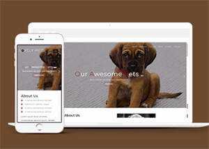 简洁宠物饲养单页HTML模板下载 - 小辰精品|源码站™