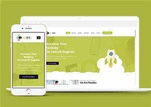 绿色排名优化公司源码模板下载 - 小辰精品|源码站™