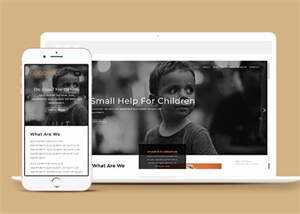 简洁公益组织网站模板下载 - 小辰精品|源码站™