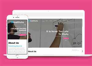 演讲口才培训公司网站模板 - 小辰精品|源码站™