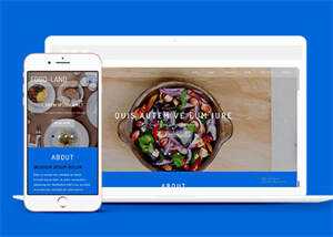 大气美食制作类网站模板下载 - 小辰精品|源码站™