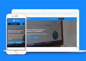 SEO优化团队类网站模板下载 - 小辰精品|源码站™