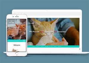 流浪动物领养中心网站模板 - 小辰精品|源码站™