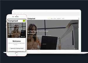 宽屏企业合作商务展示源码模板下载 - 小辰精品|源码站™