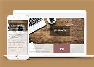 简洁项目简介展示响应式网页模板下载 - 小辰精品|源码站™