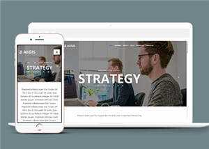 教育机构介绍动态响应式网站模板下载 - 小辰精品|源码站™