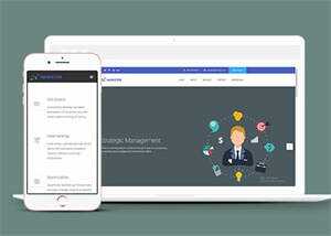 简洁项目外包企业网站模板下载 - 小辰精品|源码站™