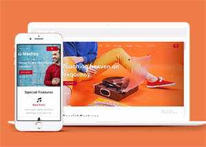 简洁耳机生产企业网站模板下载 - 小辰精品|源码站™