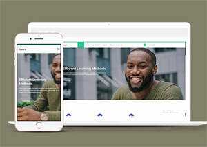 成人高等学校招生网站模板源码 - 小辰精品|源码站™