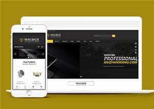 简洁响应式灯具公司前端模板下载 - 小辰精品|源码站™