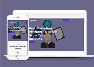 简约业务服务展示响应式网页模板下载 - 小辰精品|源码站™