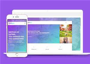 简洁项目产品说明响应式网页模板下载 - 小辰精品|源码站™