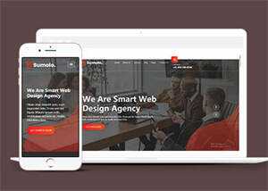 web软件应用开发公司网站模板 - 小辰精品|源码站™