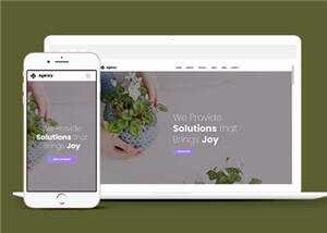 简约创意商业解决方案动态响应式网页模板下载 - 小辰精品|源码站™