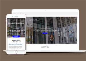 简约公司项目解决方案HTML网页模板下载 - 小辰精品|源码站™