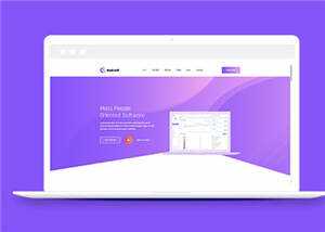 简约软件开发企业网站模板下载 - 小辰精品|源码站™