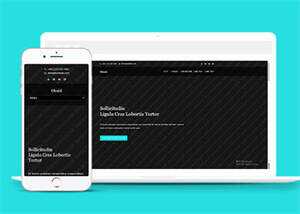 旅游景点展示类网站模板下载 - 小辰精品|源码站™