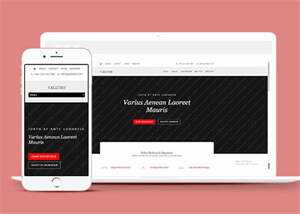 唯美休闲小清新网站模板下载 - 小辰精品|源码站™