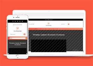 响应式橘红色企业公司网站模板 - 小辰精品|源码站™