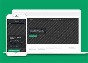 响应式野外游泳爱好者网站模板 - 项目资源网