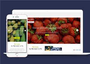响应式果蔬大棚企业源码模板下载 - 小辰精品|源码站™