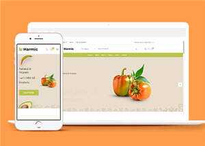 简洁蔬菜水果超市电商网站模板源码下载 - 小辰精品|源码站™