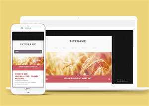 宽屏粉色个人博客主页网站模板 - 小辰精品|源码站™