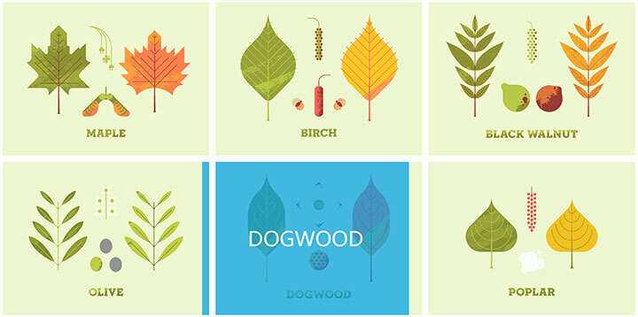 jQuery列表图片鼠标悬停感知方向遮罩层移动特效 - 小辰精品|源码站™