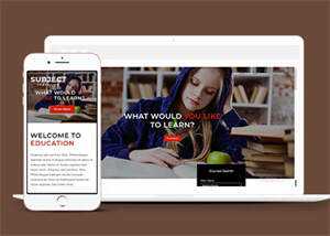 简洁图书馆在线书城网站模板 - 小辰精品|源码站™