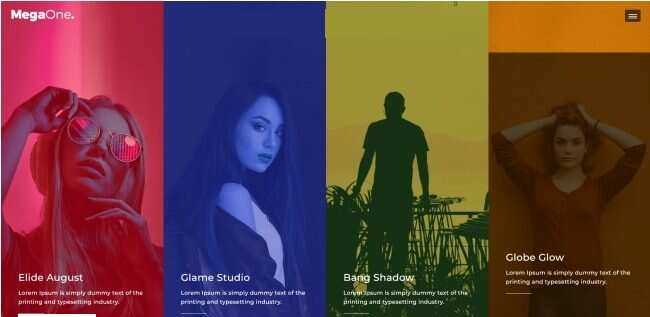 演唱会嘉宾宣传介绍网页模板 - 小辰精品|源码站™