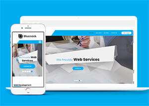 移动应用开发公司网站模板下载 - 小辰精品|源码站™