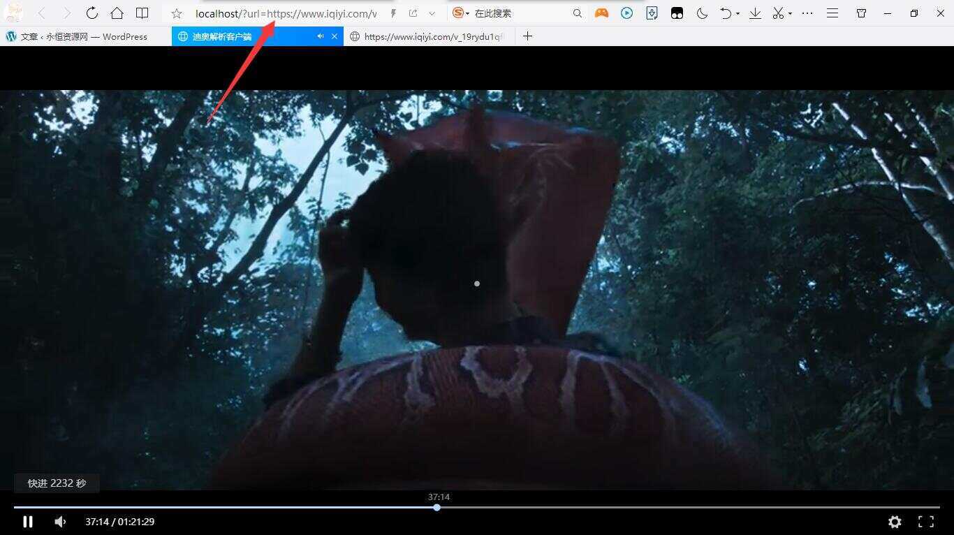 迪奥VIP视频解析客户端PHP源码 - 小辰精品|源码站™