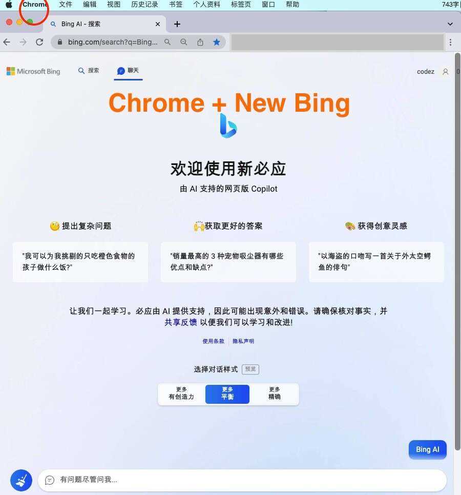微软New Bing完美聊天机器人源码，支持ChatGPT提示词 国内可用，基本兼容微软 Bing AI 所有功能 - 小辰精品|源码站™
