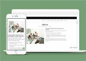 网页设计优化机构响应式网页模板 - 小辰精品|源码站™